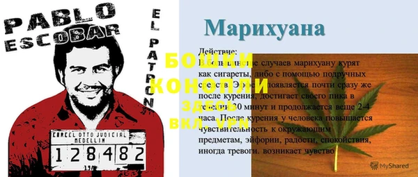 дурь Нея
