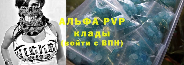 СК Нефтекумск